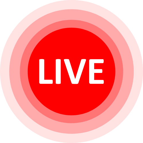 Webcam Bj